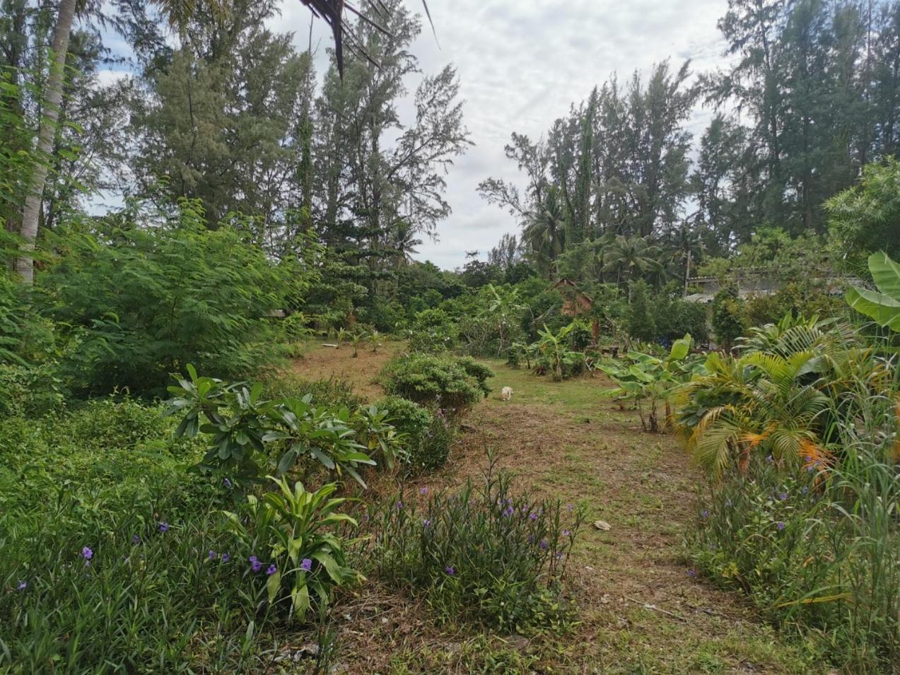 Neverland Beach Village Bungalows เกาะลันตา ภายนอก รูปภาพ
